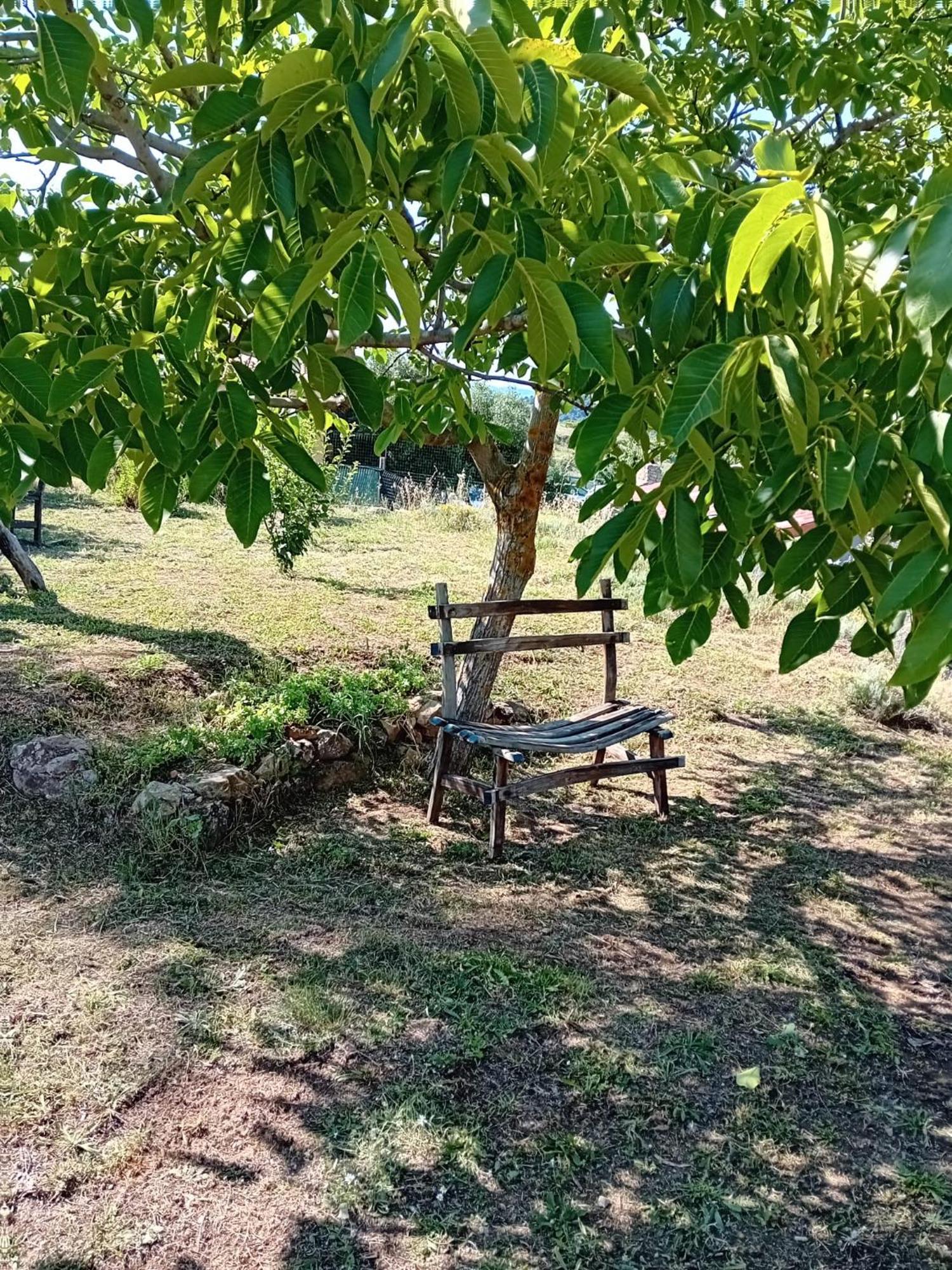 SeùloLugori住宿加早餐旅馆 外观 照片