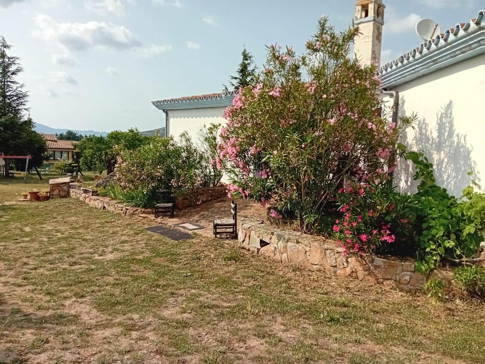 SeùloLugori住宿加早餐旅馆 外观 照片