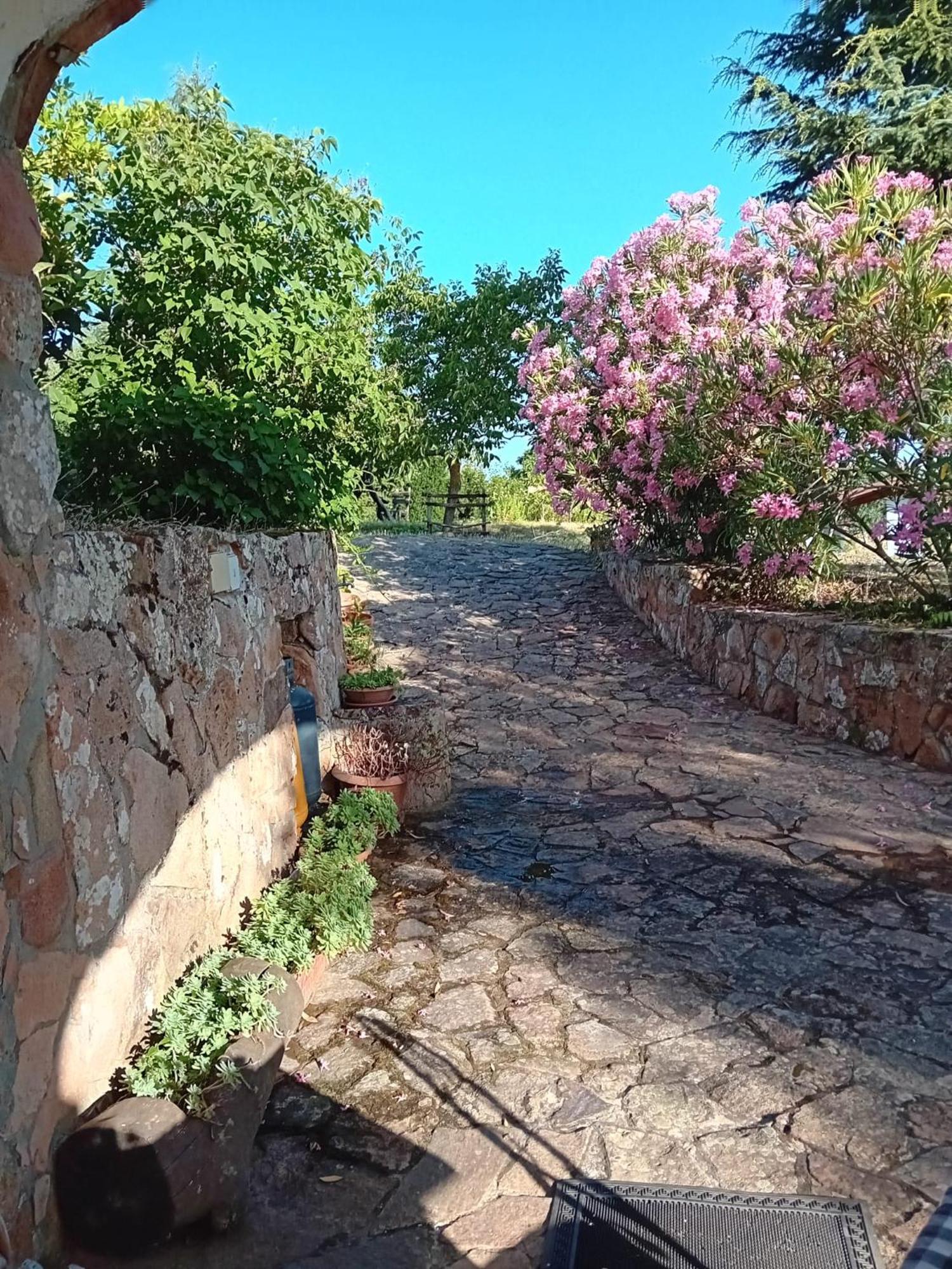 SeùloLugori住宿加早餐旅馆 外观 照片