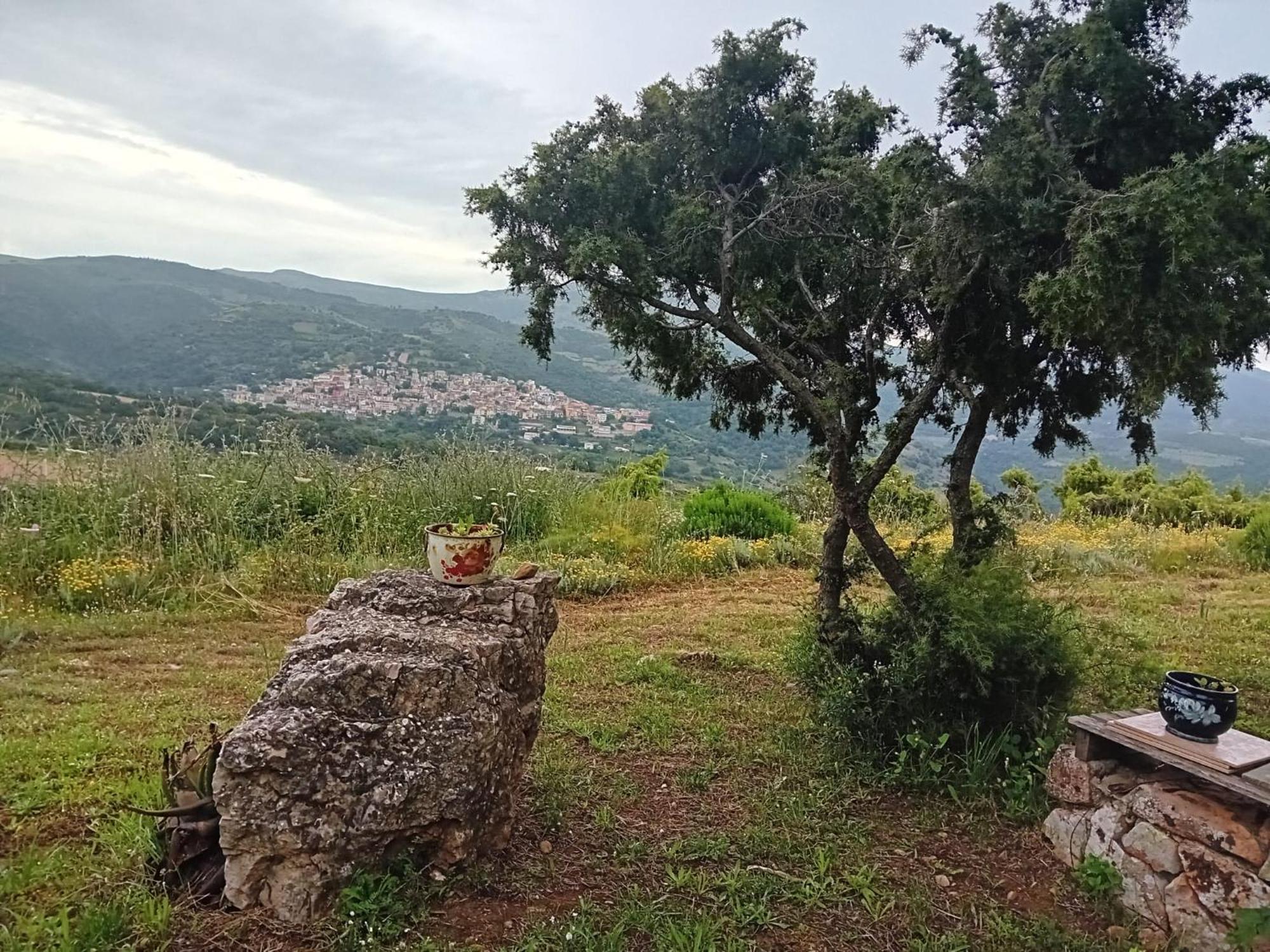 SeùloLugori住宿加早餐旅馆 外观 照片