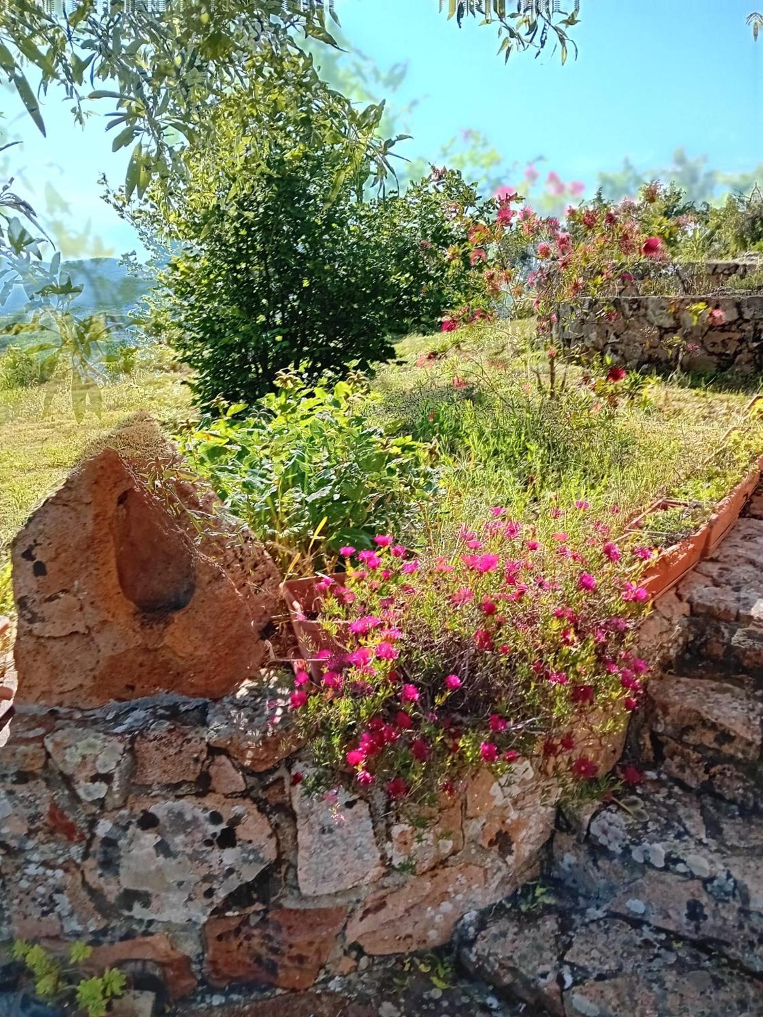 SeùloLugori住宿加早餐旅馆 外观 照片