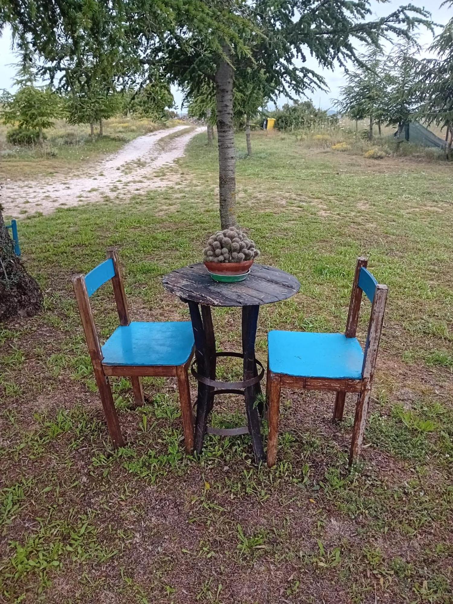SeùloLugori住宿加早餐旅馆 外观 照片